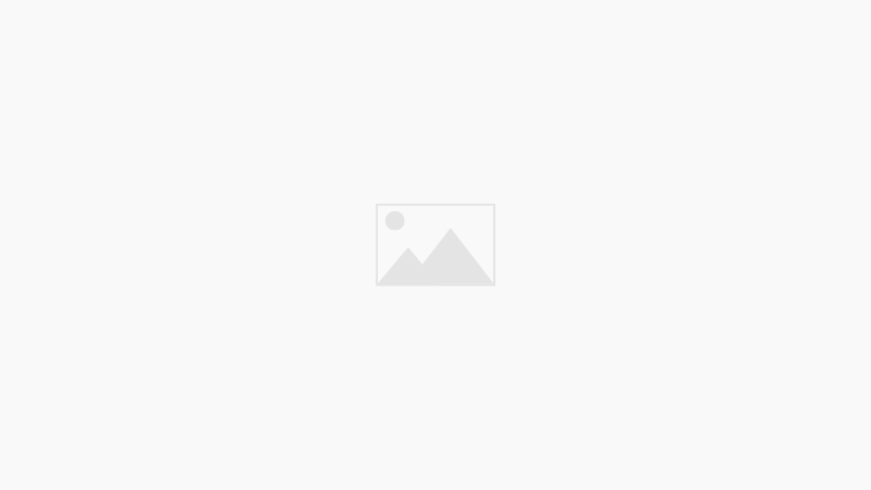BookLife by Publisher Weekly Review